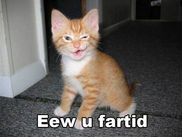lolcats-random-7550043-600-450.jpg