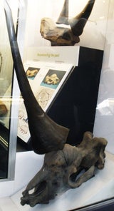 unicornjpg-c7561a_160w.jpg