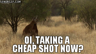 typical-day-drinking-in-australia