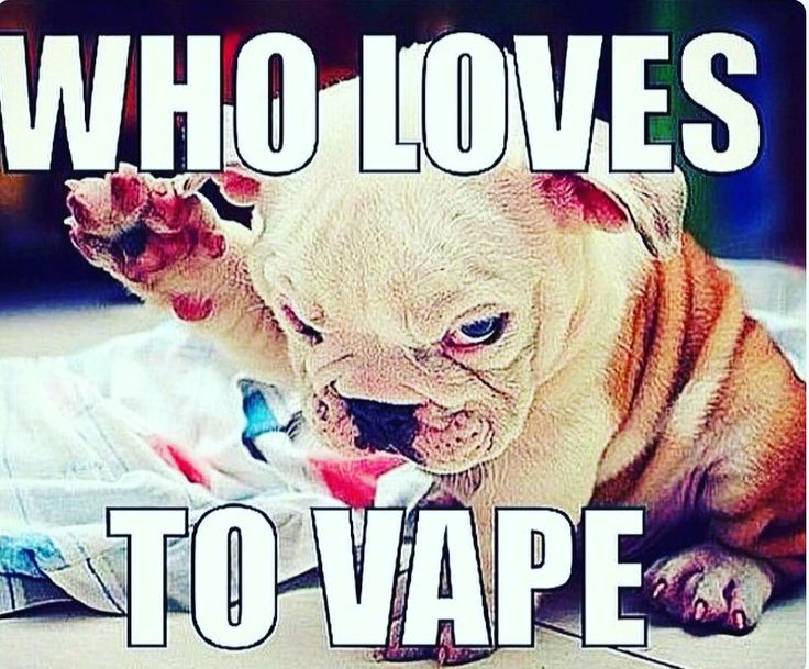 85828c54eec85a2a92bd8d1fe1a12864--vaping-meme.jpg