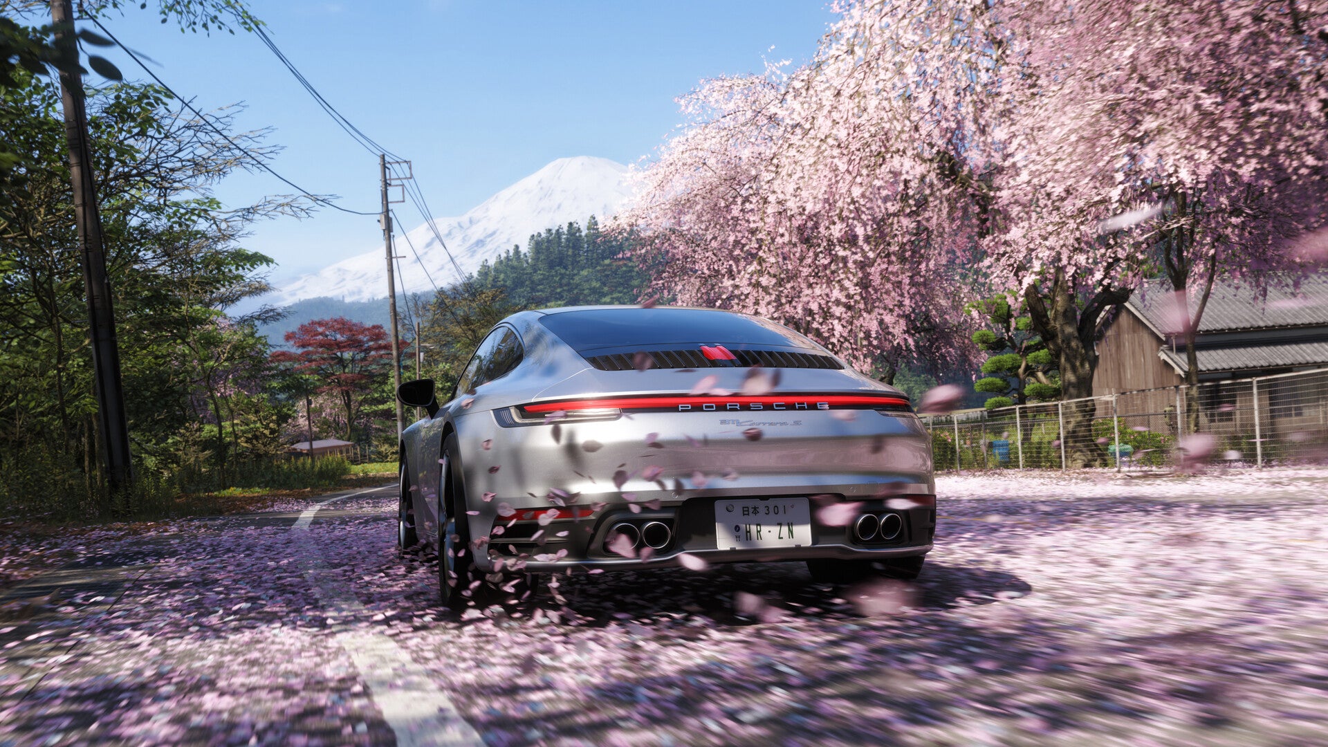 forza-main-1778862653522.jpg