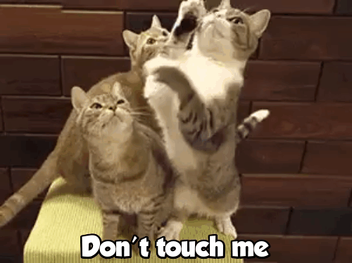 1*qKX9TZQNhc9z3e1DNUADwA.gif
