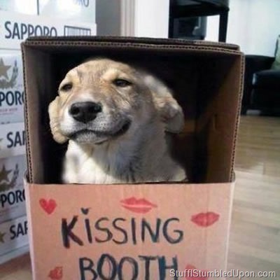 dog-meme-kissing-booth-cute-overload-meme-funny-pictures-blog.jpg