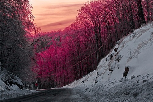 pink-pretty-road-snow-trees-Favim.com-50930.jpg