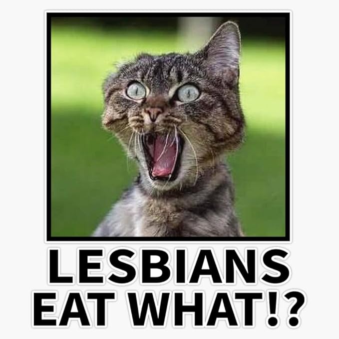 Lesbians Eat What Funny Cat Meme Sticker Bumper Sticker Vinyl Decal 5"