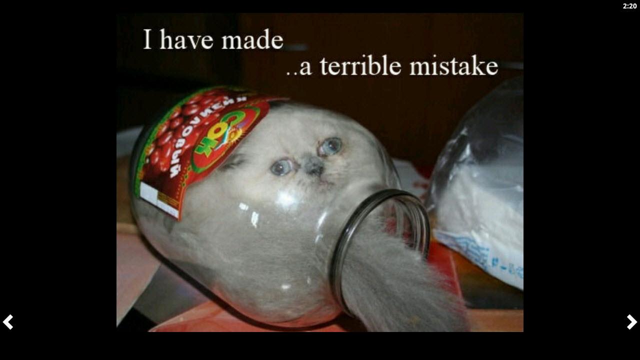 a1DlqgLbs-gONMc_hknKVj0hltOxkcKTeCbqb-rhthwW4lohVYMg0bPcA-nK2E60s2-I=h900