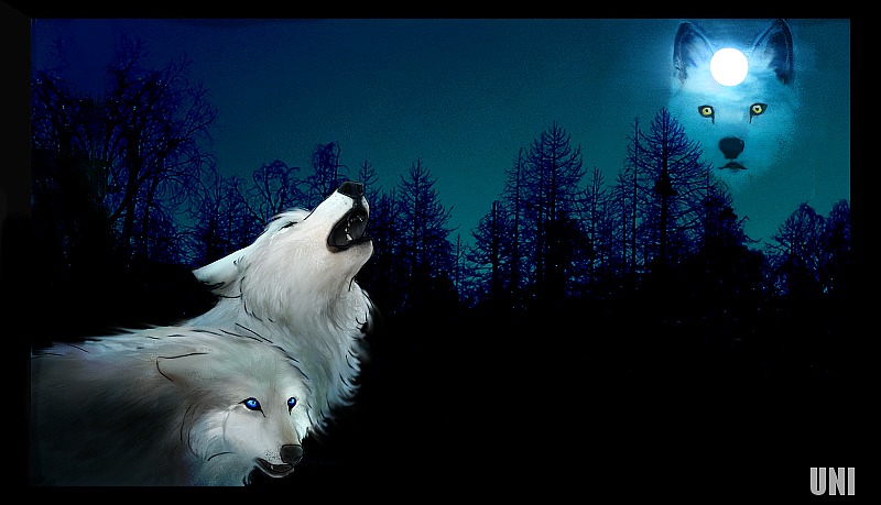 mourning_wolves_by_unicornia.jpg