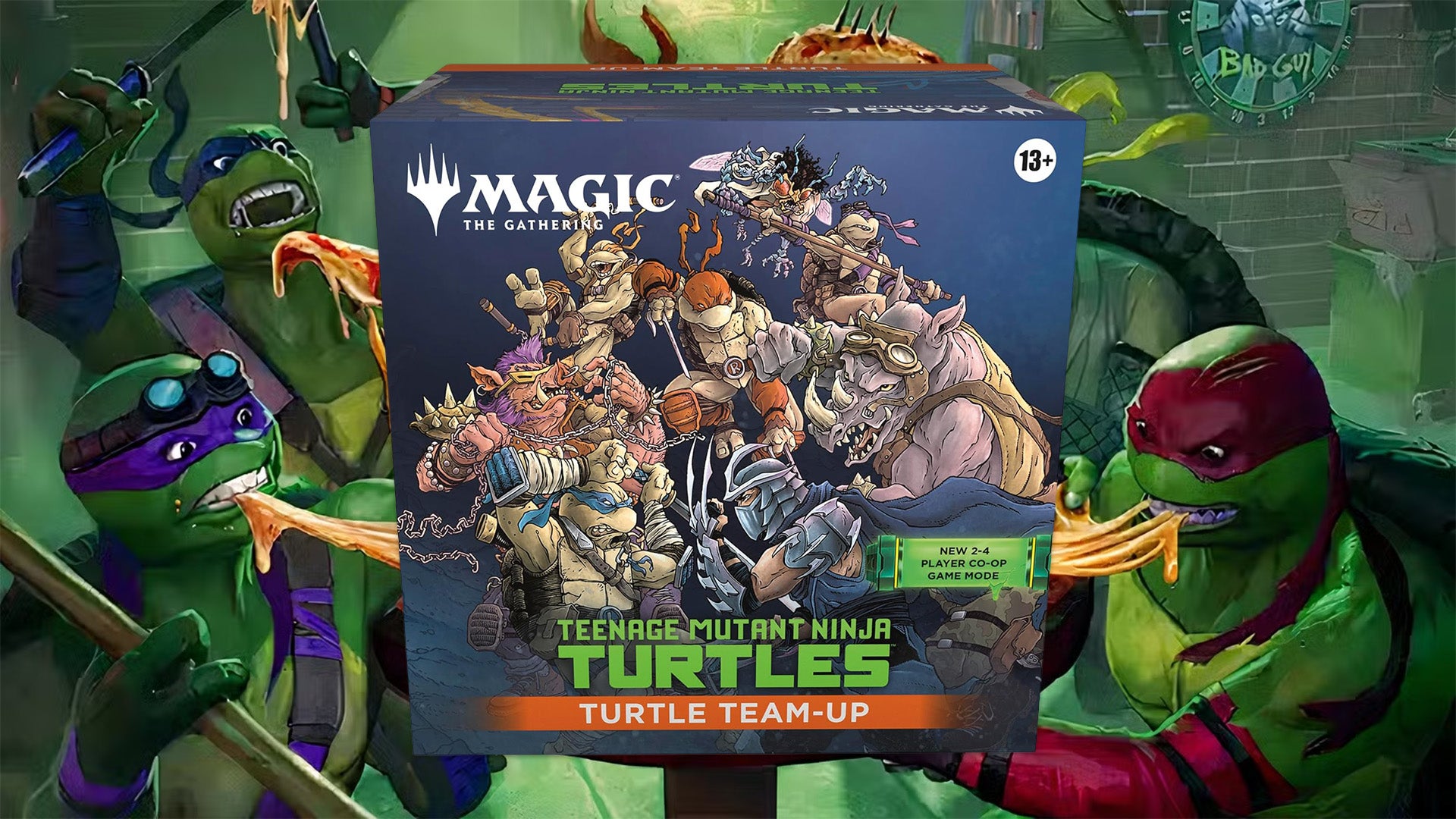 turtles-header-1784658905861.jpg