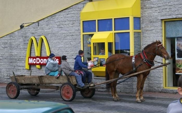 the-most-unusual-drivethru-customers-7.jpg