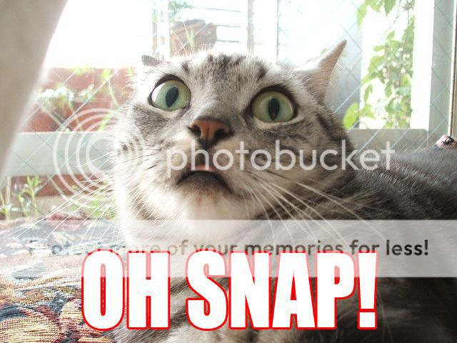 OhSnap1.jpg