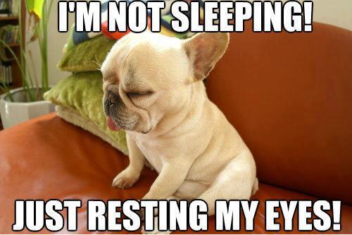 notsleeping.jpg