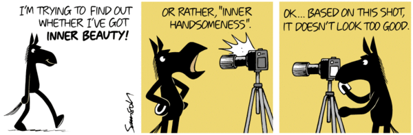 c6378c20adce0132cf44005056a9545d