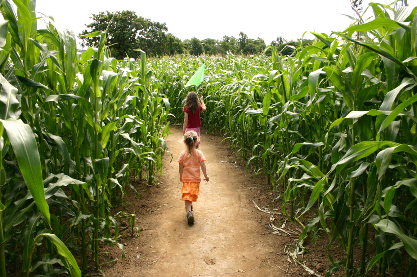 children-walking-through-maze.jpg