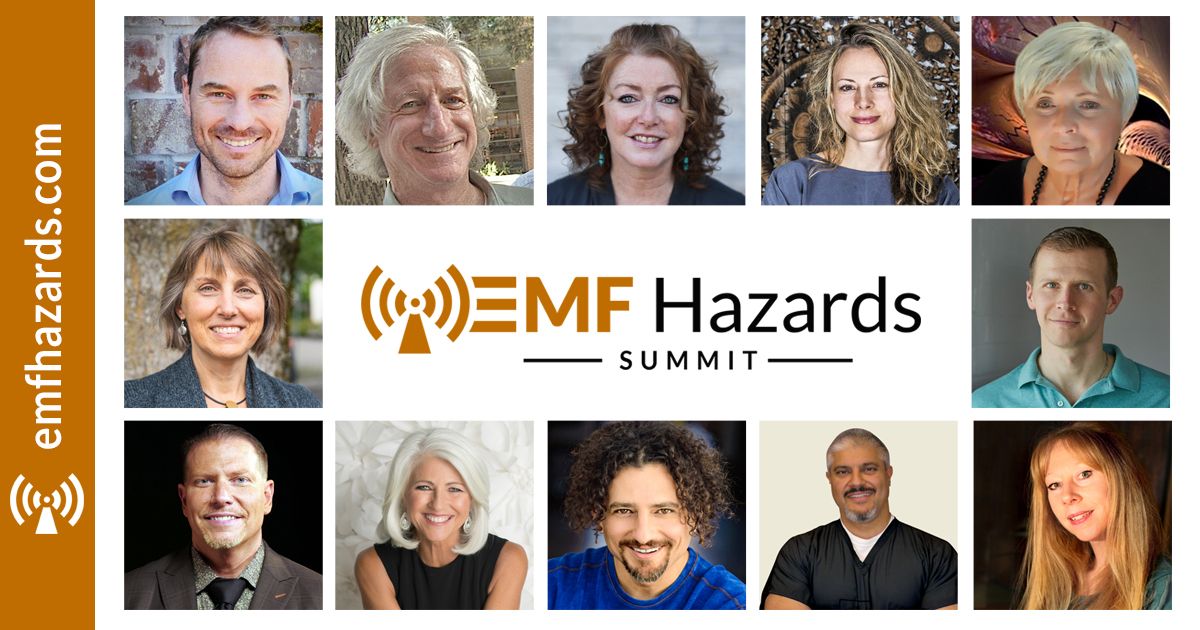 emfhazards.com