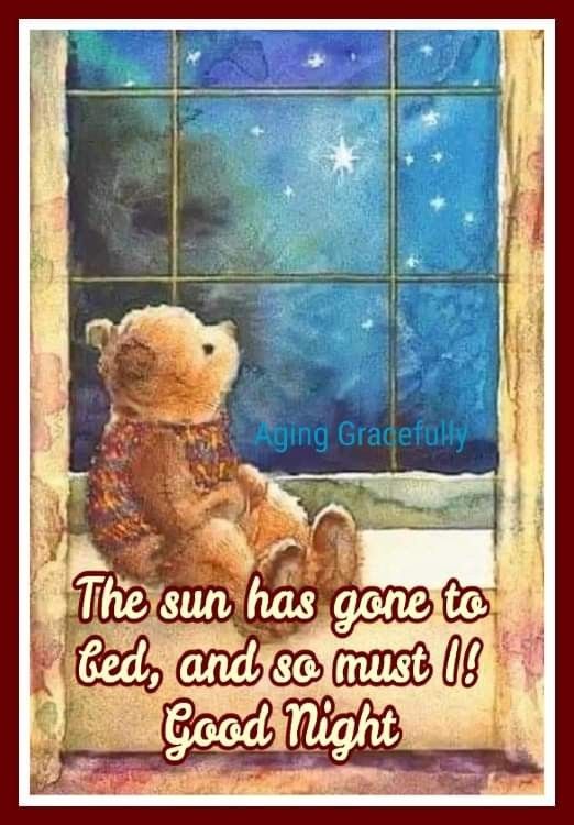 This may contain: a teddy bear sitting in front of a window with the words, the sun has gone to ted and so must i good night