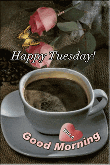 goodmorning-happytuesday.gif