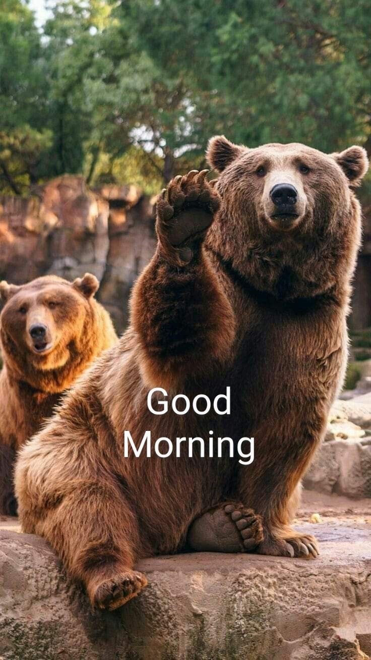 This may contain: two brown bears standing on their hind legs with the caption'good morning '