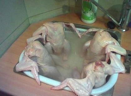 EnhancedChickensBathing.jpg