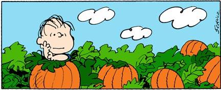 linus-and-pumpkin-patch.jpg