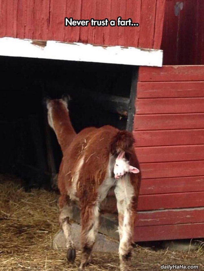 never_trust_a_fart.jpg