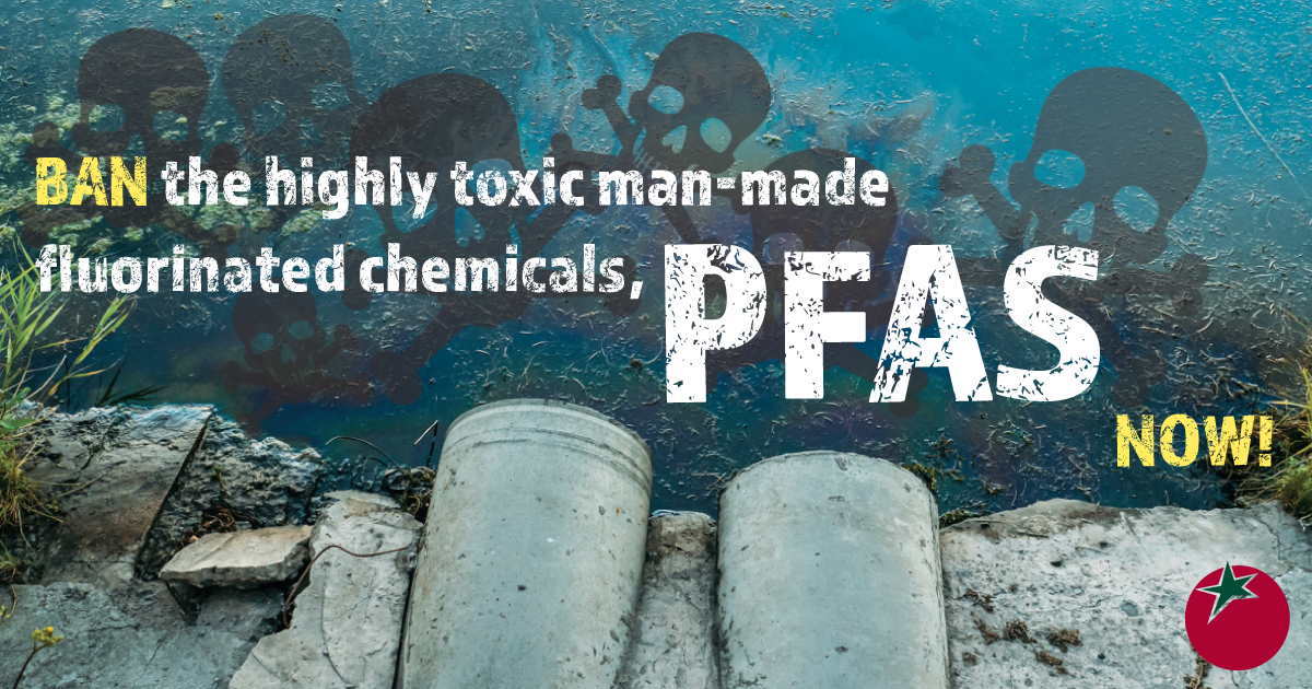 organicconsumers.org