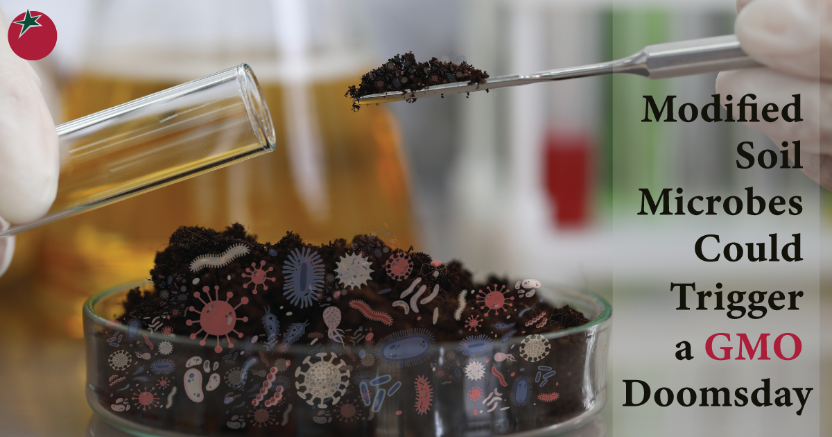 organicconsumers.org