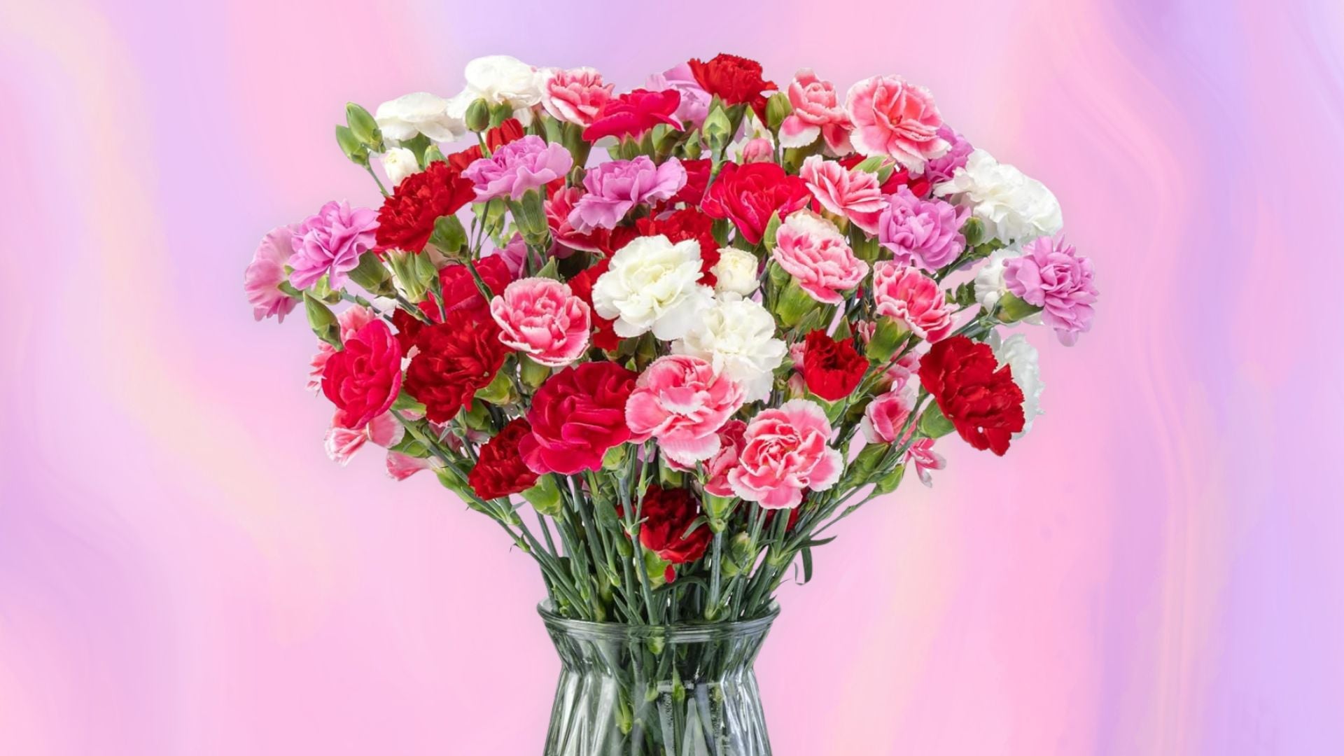 valentines-day-flowers-ign-1770279190067.jpg