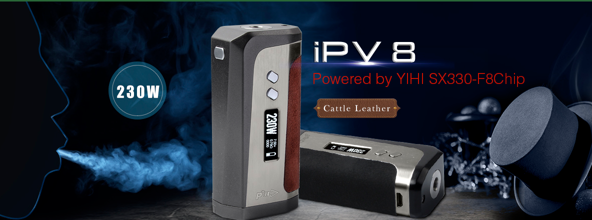 Pioneer4you-IPV-8.png