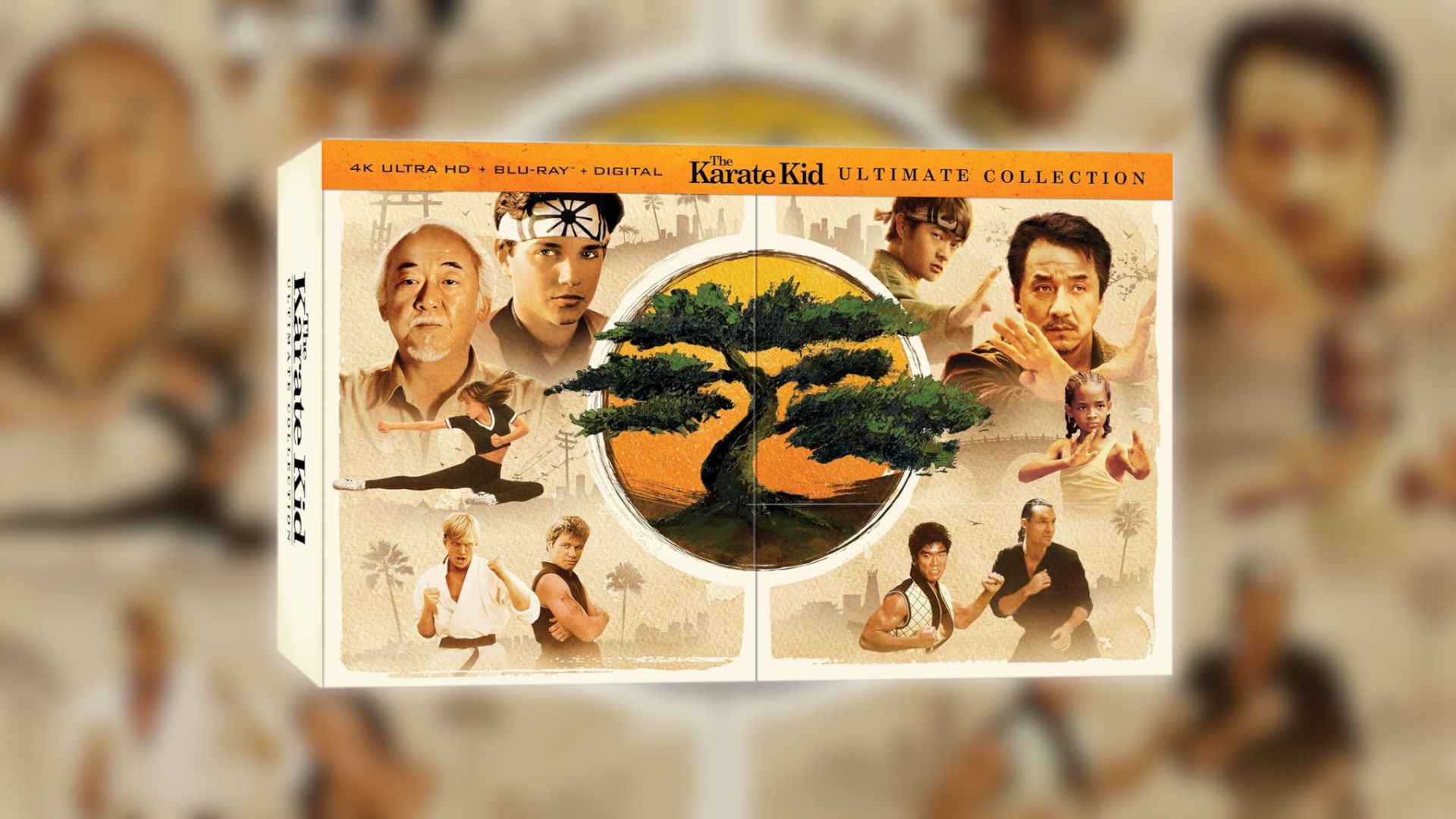 karate-kid-ultimate-collection-preorder-1748956541096.jpg