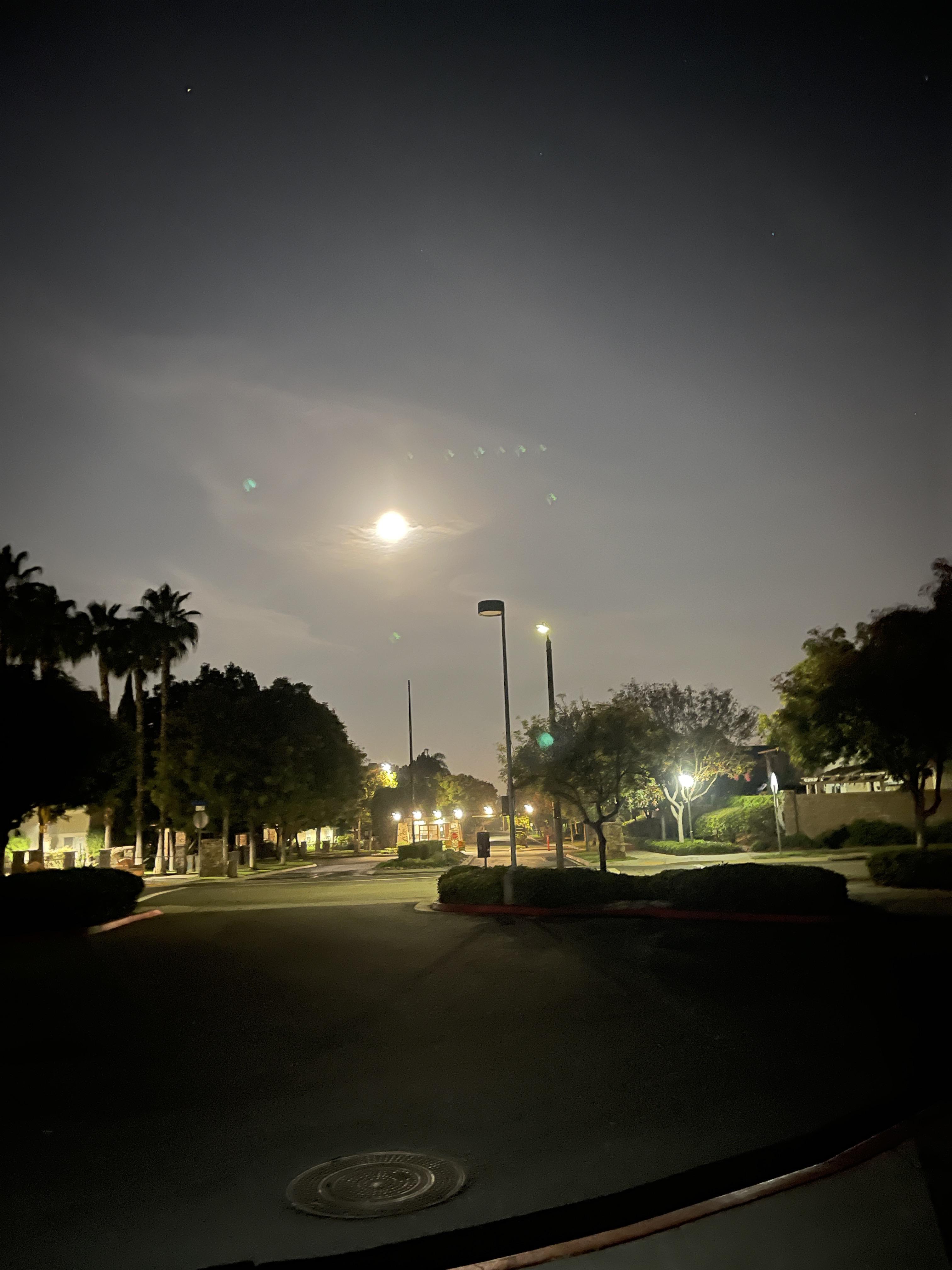 67d0d256ecd006f24434e08780422298.dng