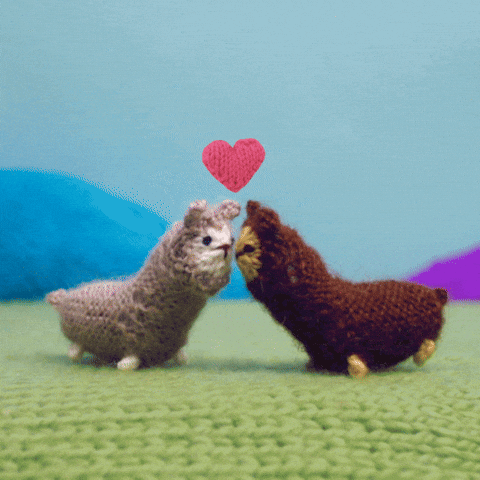 giphy.gif