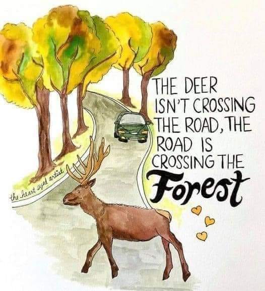 May be an illustration of deer, road and text