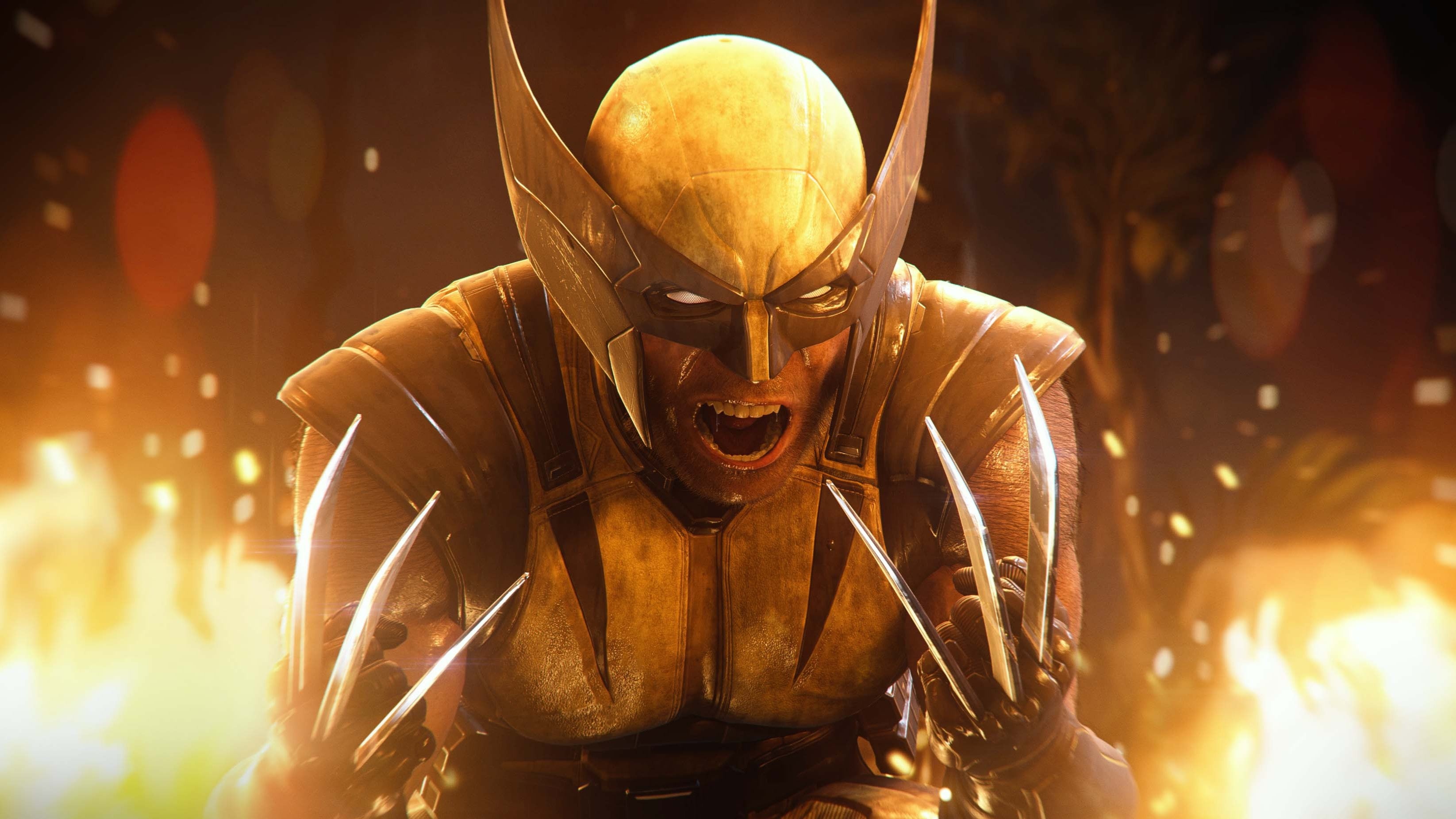 wolverine-main-1780437427510.jpg