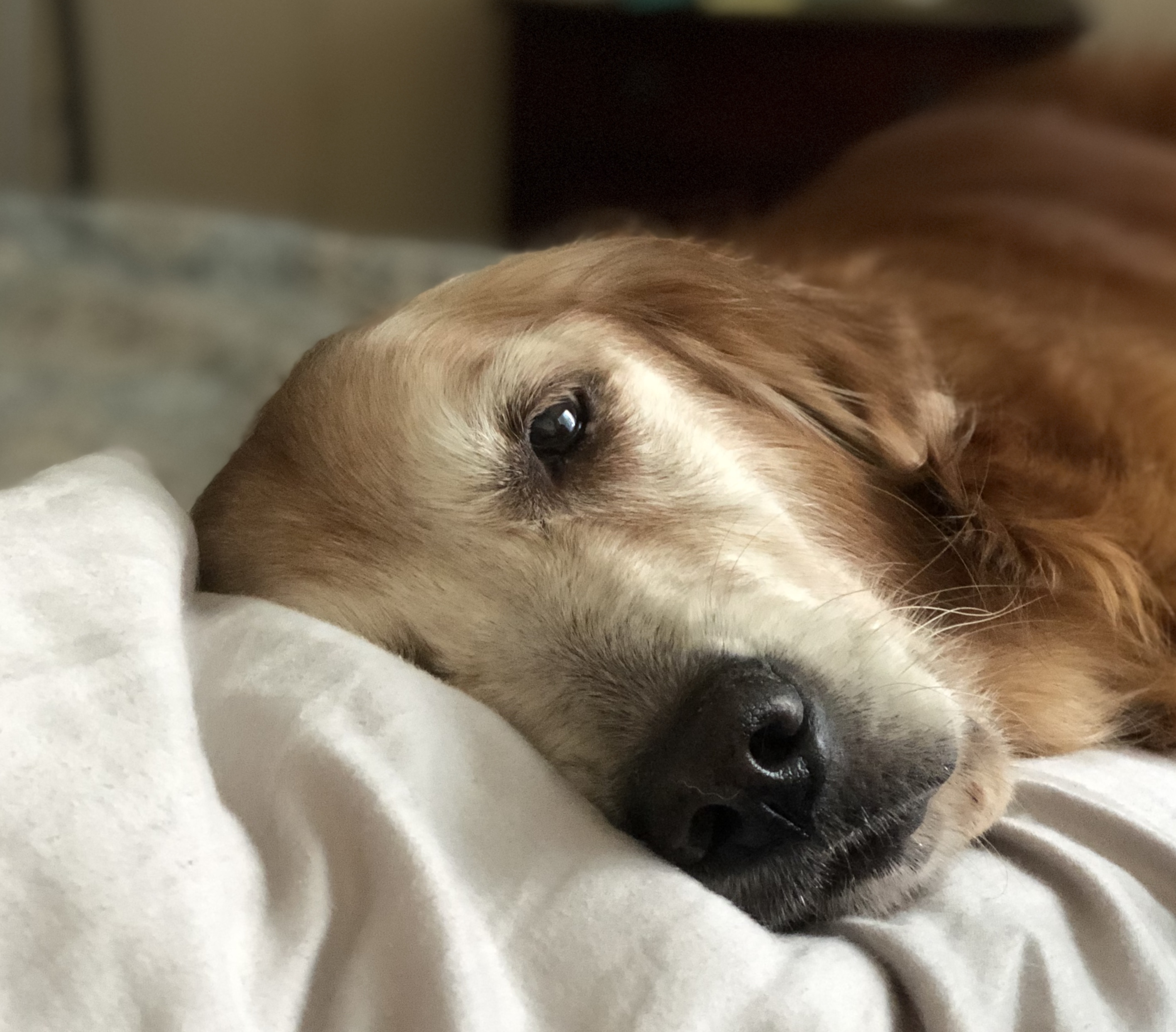 48db97226682d69b3a9dcbc9ae9bb3ff.plist