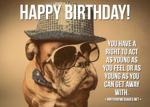 This may contain: a dog wearing sunglasses and a hat with the caption happy birthday you have a right to act as young as you feel as young as you can get away with