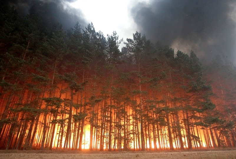 Burning+Trees1.jpg