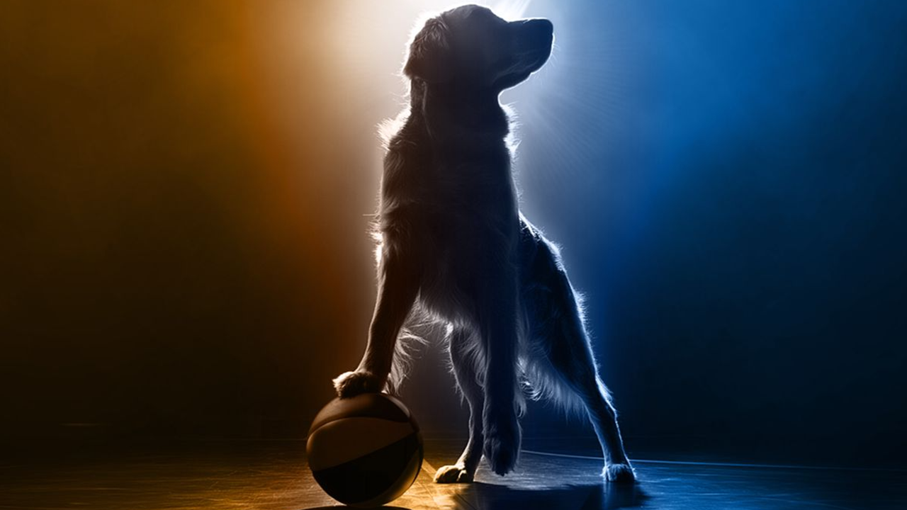 air-bud-returns-poster-1753400910412.png