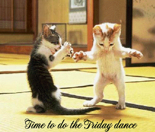 timetodothefridaydancetr9-1.gif