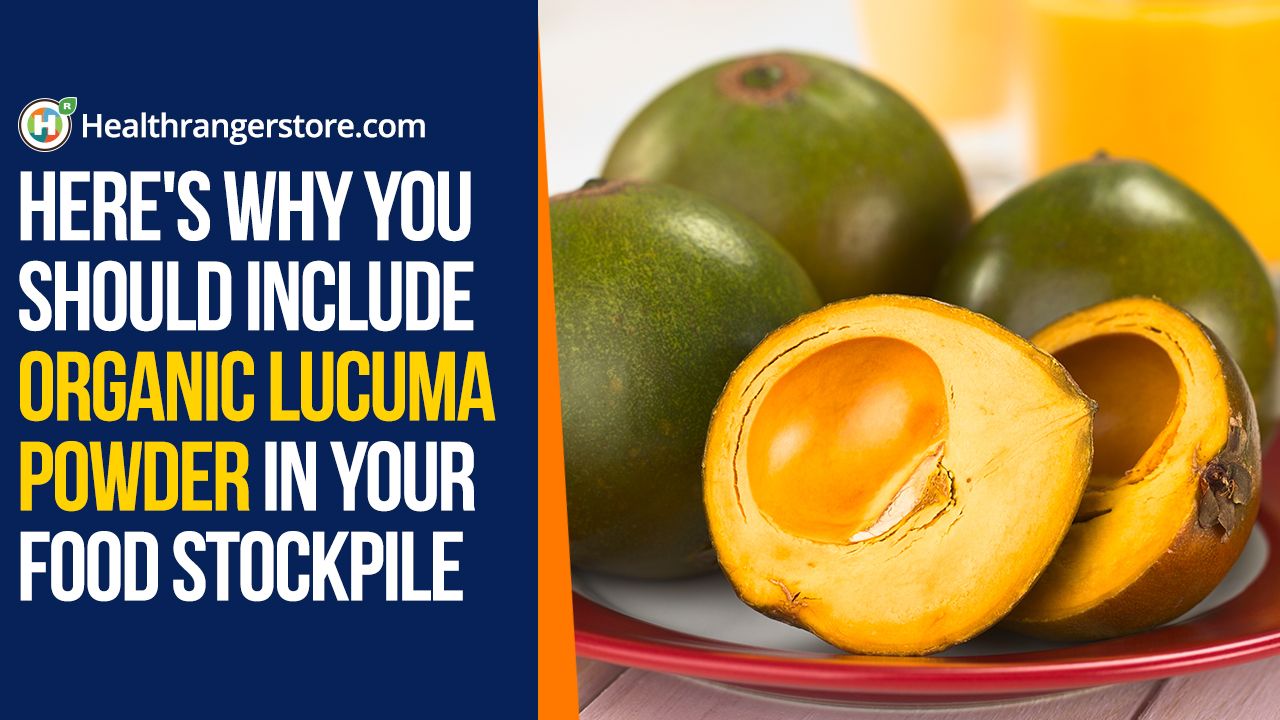 Here's why you should include Organic Lucuma Powder in your food stockpile