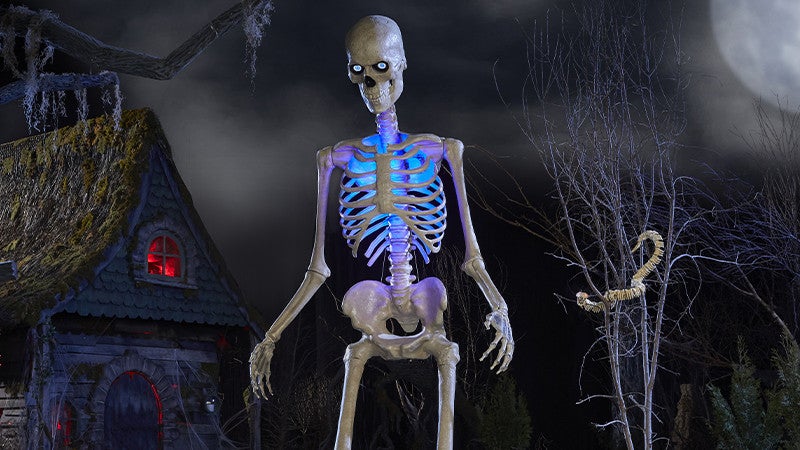 skelly-home-depot-1784212314332.jpg