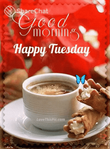 good-morning-happy-tuesday.gif