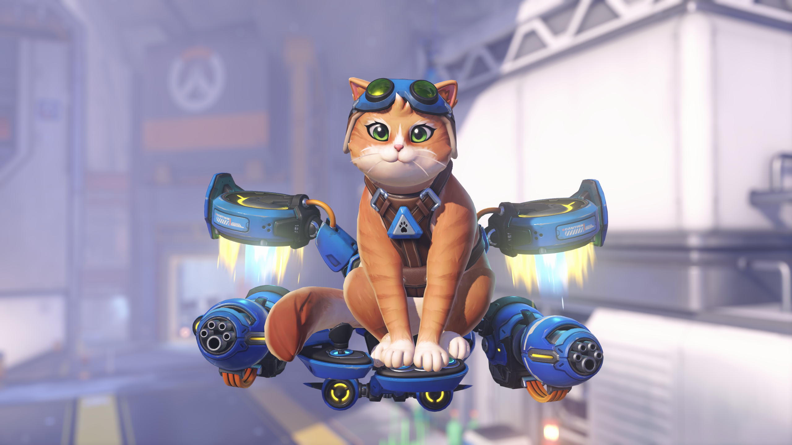 jetpack-cat-1770137735162.png