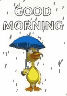 duck-rainy-day.gif