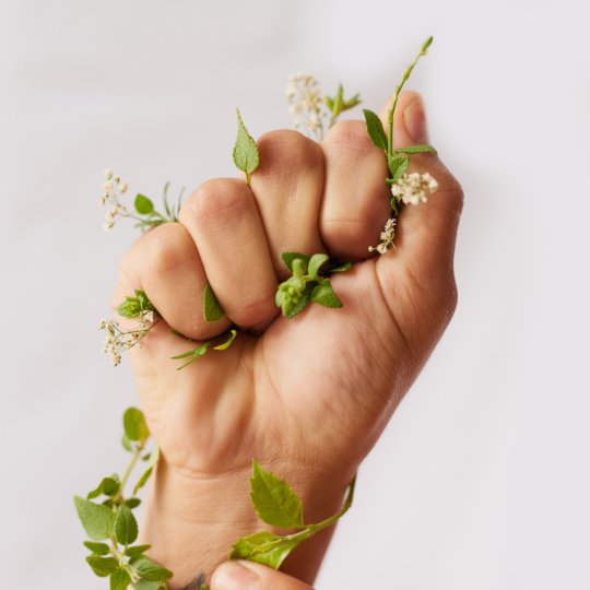 growyourownvegetables.org