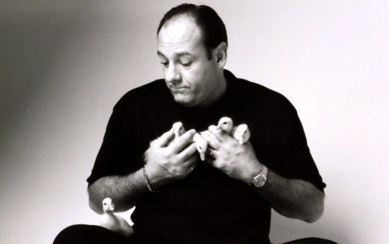 james-gandolfini-ducklings.jpg