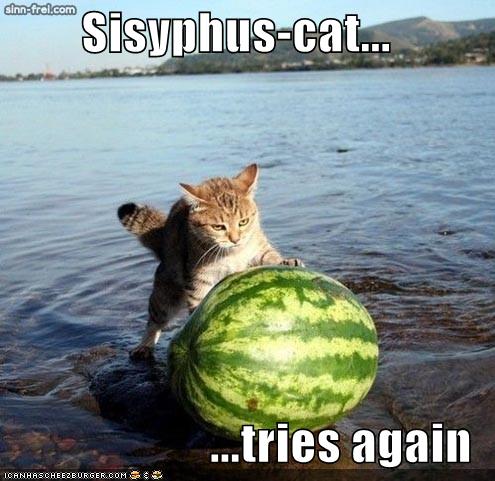 funny-pictures-sisyphus-cat-watermelon-water.jpg