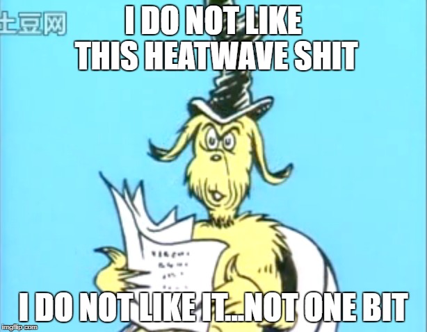 21llkq.jpg