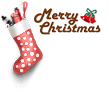 pic_merry_christmas.png