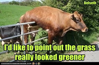 grass-is-greener.jpg