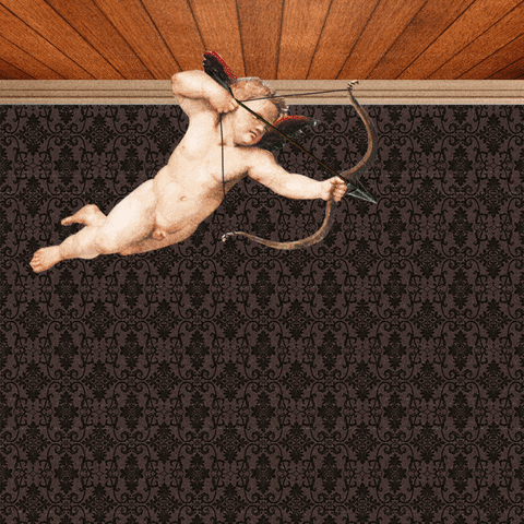 giphy.gif
